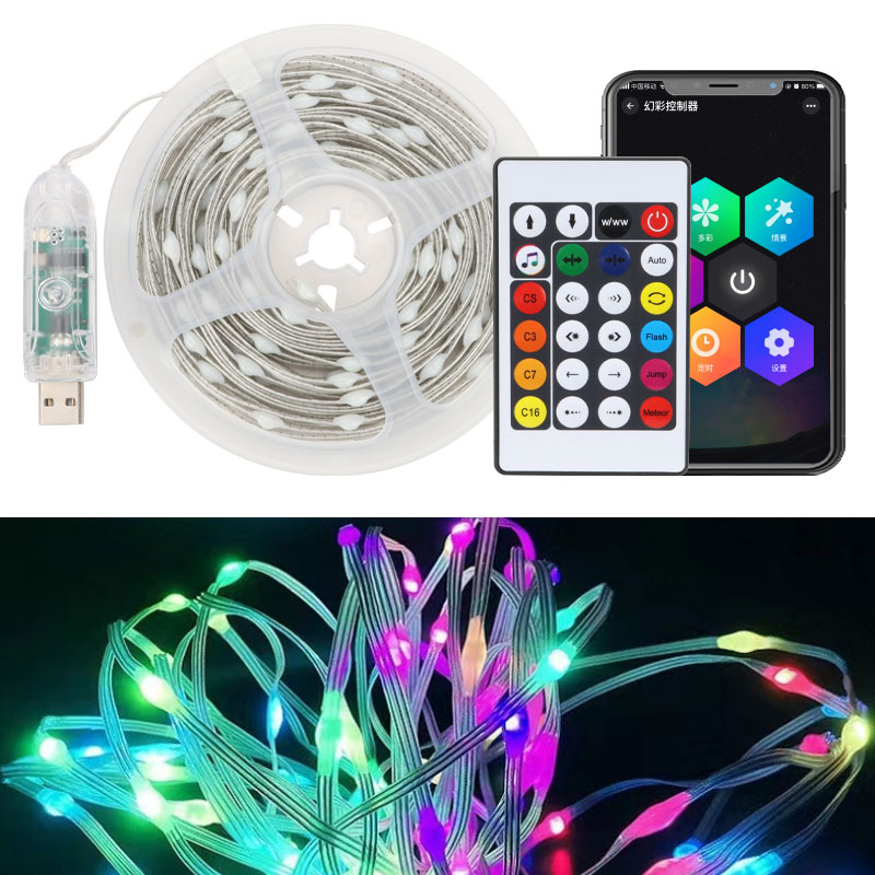 Smart Garden Light Controller - 10 متر LED أضواء عيد الميلاد