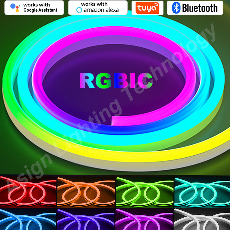 Smart Garden Light Controller - RGBIC LED نيون قطاع 12 فولت