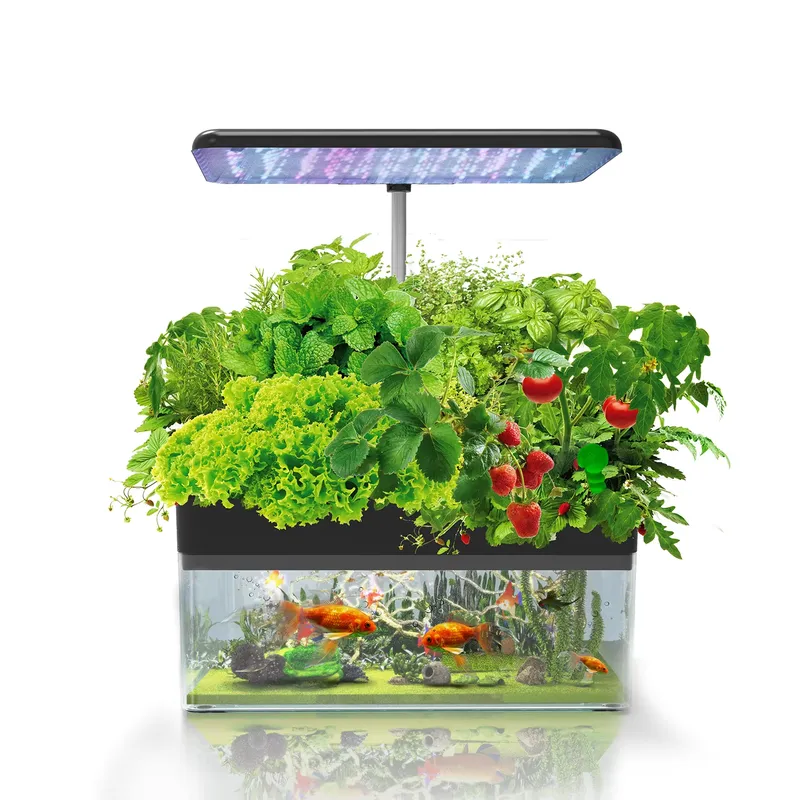 نظام IGS-70 للزراعة المائية ال - مراجعة Smart Garden وسعره