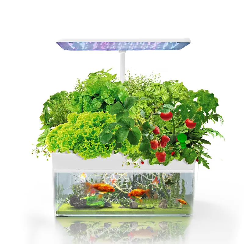 نظام IGS-70 للزراعة المائية ال - مراجعة Smart Garden وسعره