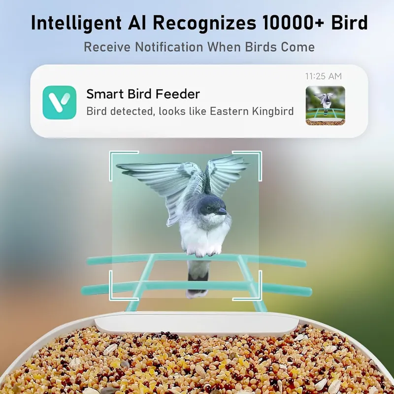 كاميرا ذكية لتغذية الطيور مع ت - مراجعة Smart Garden Video وسعره