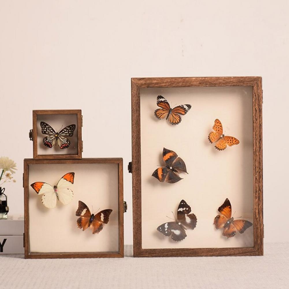 علبة عرض خشبية صندوق ظلال الفر - مراجعة Insect Hotel Wood وسعره