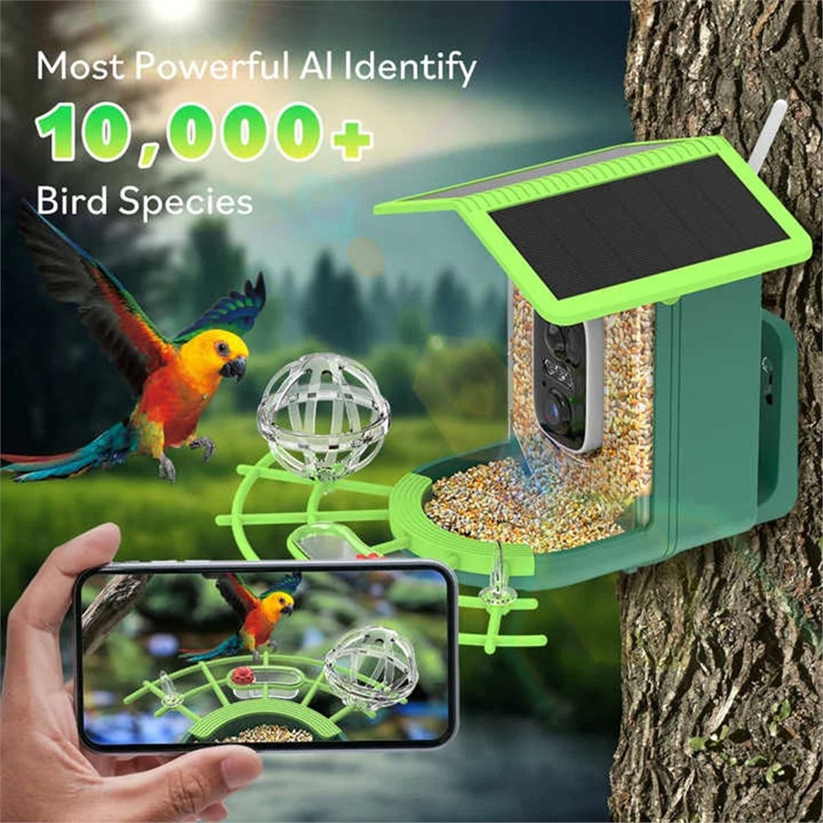 كاميرا ذكية لتغذية الطيور مع م - مراجعة Smart Garden Video وسعره