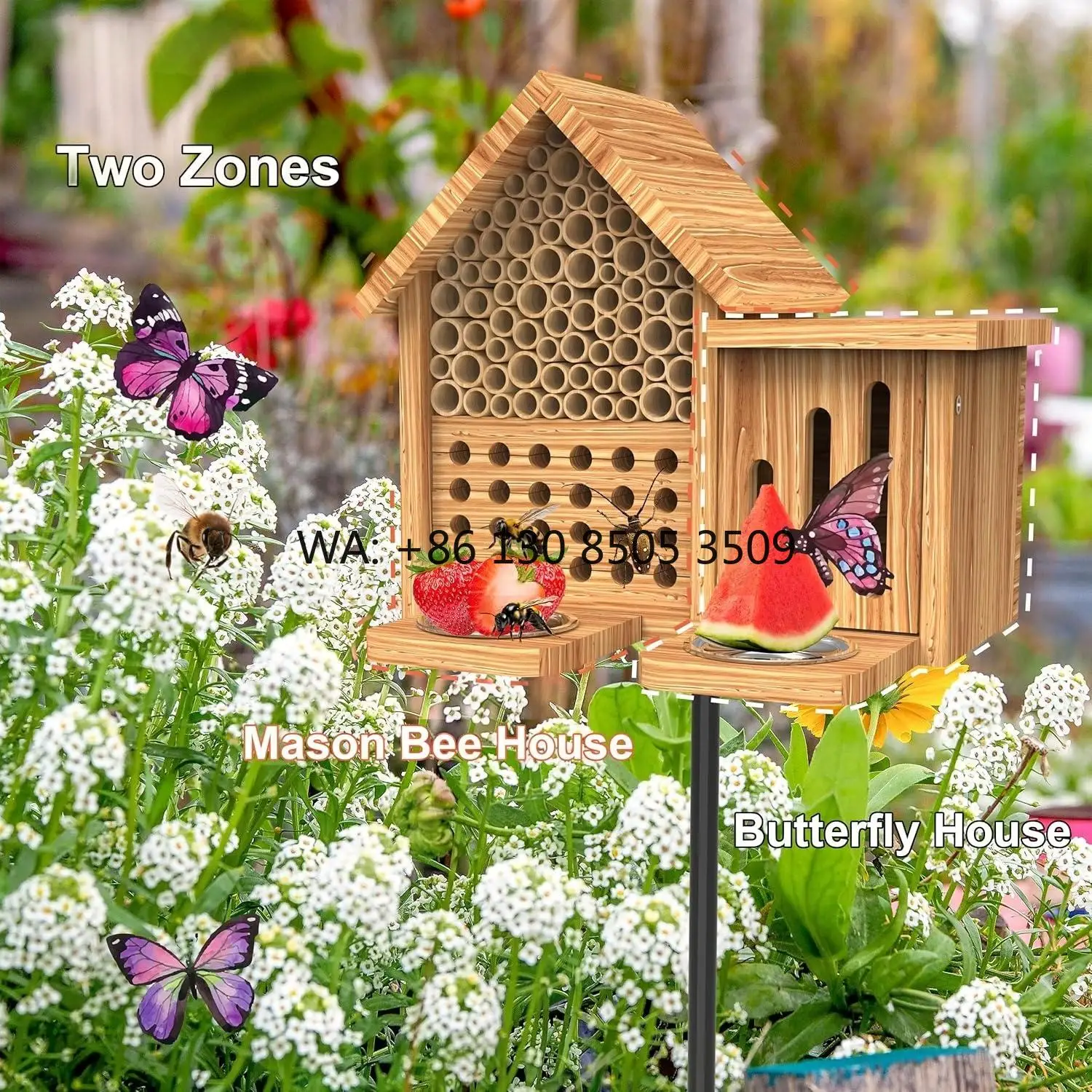 بيت نحل خشبي طبيعي مقاوم للماء - مراجعة Insect Hotel Wood وسعره